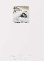 Heinz Treiber