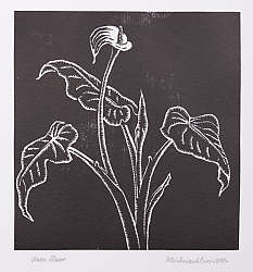 Otto Reer